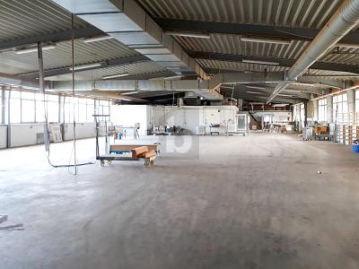 UNTERNEHMER-PROJEKT, NAHE DER NL GRENZE 5 zimmer