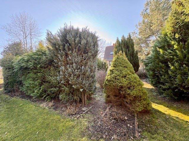 Einfamilienhaus Meuselwitz Wintersdorf - 7 Zimmer, 100 m&sup2;, 155.000&euro; | Angebot:25909367