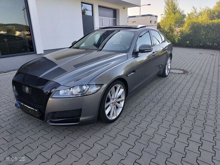 XF