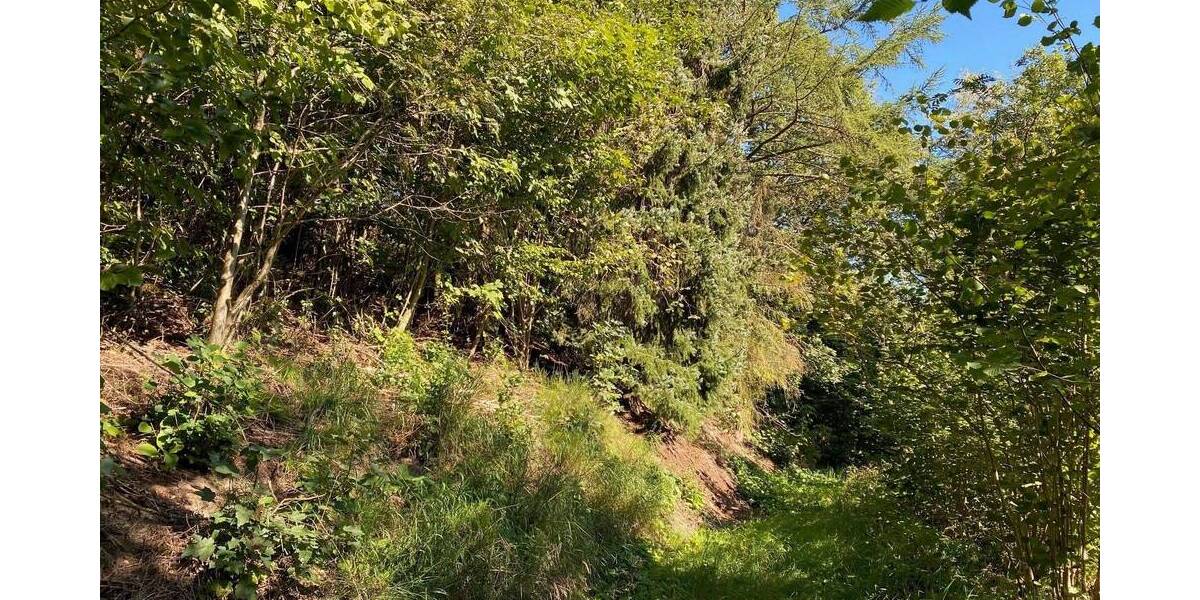 Grundstück Bad Berleburg Aue - 22.000&euro; | Angebot:25667709
