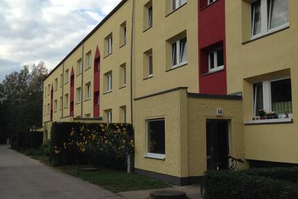 Zweizimmerwohnung Damsdorf am Waldrand 2 zimmer