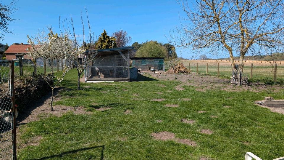 Einfamilienhaus Mirow - 350.000&euro; | Angebot:26302357