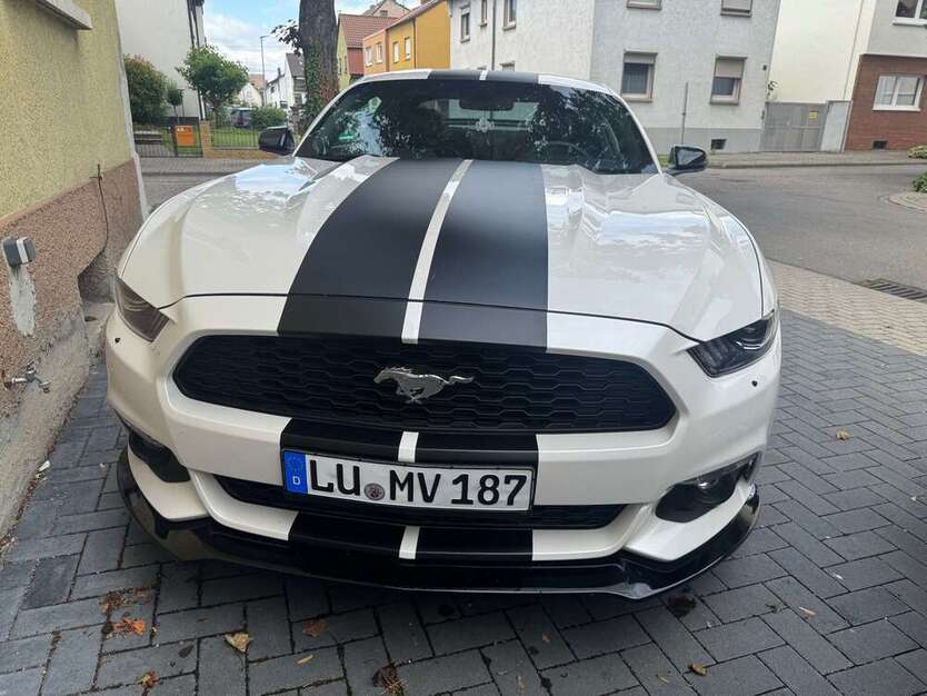 Mustang
