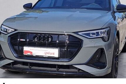 Audi e-tron 62.398 km 42.390 € Binzen 79589