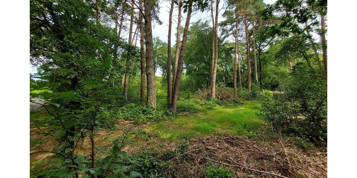 Grundstück Worpswede / Neu Sankt Jürgen Neu Sankt Jürgen - 165.000&euro; | Angebot:25727269