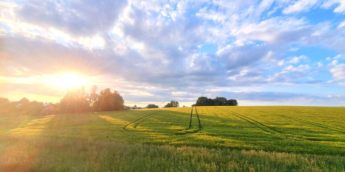 Grundstück Ruhstorf an der Rott Ruhstorf - 59.500&euro; | Angebot:24029186