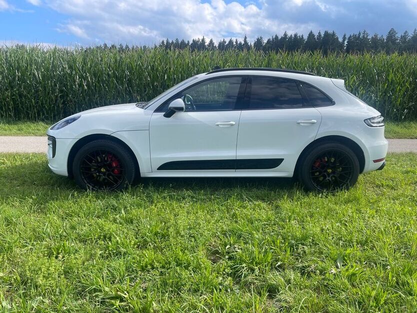 Macan