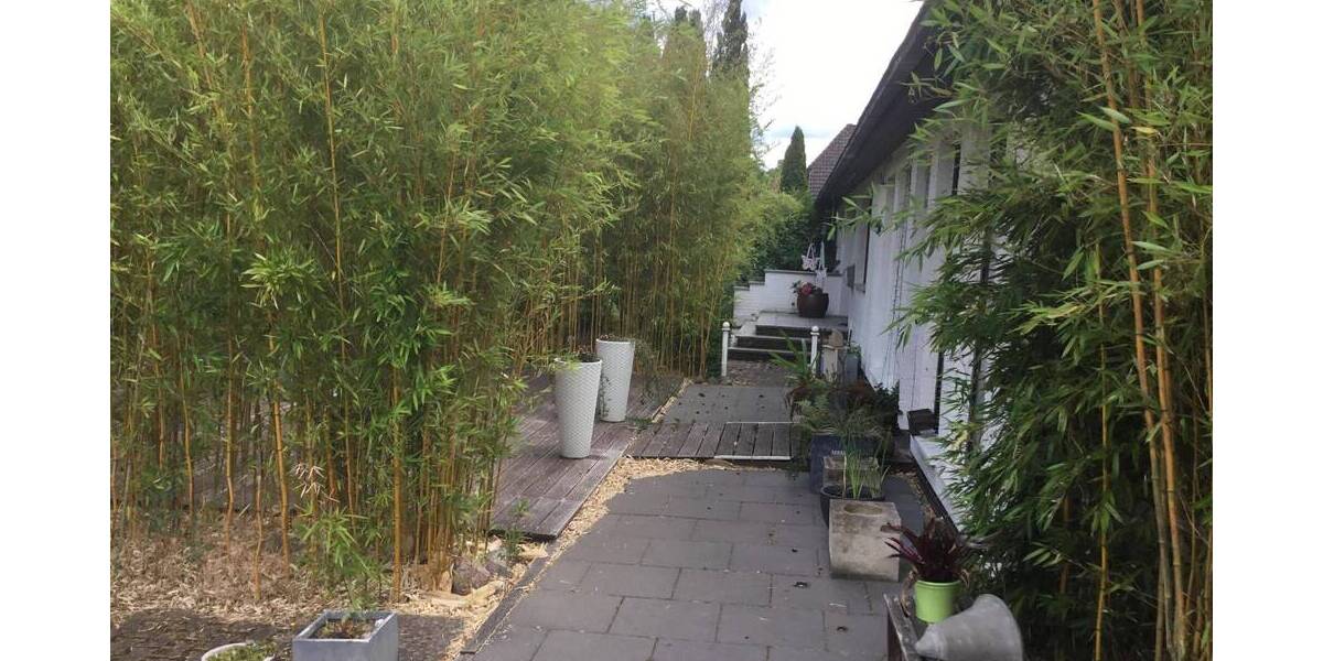 Einfamilienhaus Lüchow Künsche - 1 Zimmer, 300 m&sup2;, 320.000&euro; | Angebot:25771406