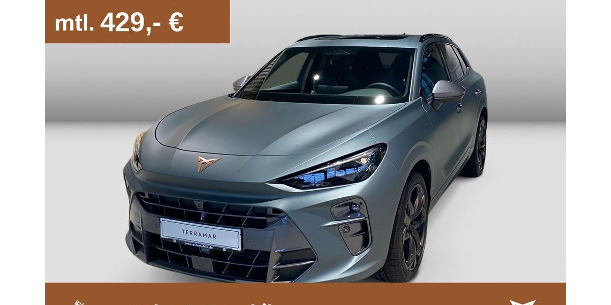 Cupra Terramar 9.999 km 49.930 &euro; Göppingen 73037