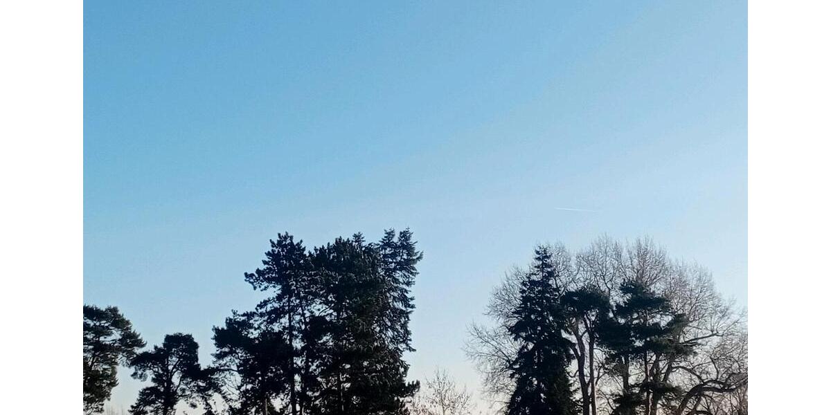 Etagenwohnung Lorsch - 3 Zimmer, 90 m&sup2;, 1.430&euro; | Angebot:24778816