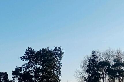 Wohnung Lorsch - 3 Zimmer, 90 m&sup2;, 1.430&euro; | Angebot:24778816