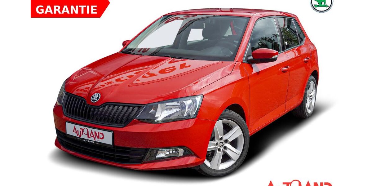 Skoda Fabia 117.141 km 10.990 &euro; Bad Hersfeld 36251