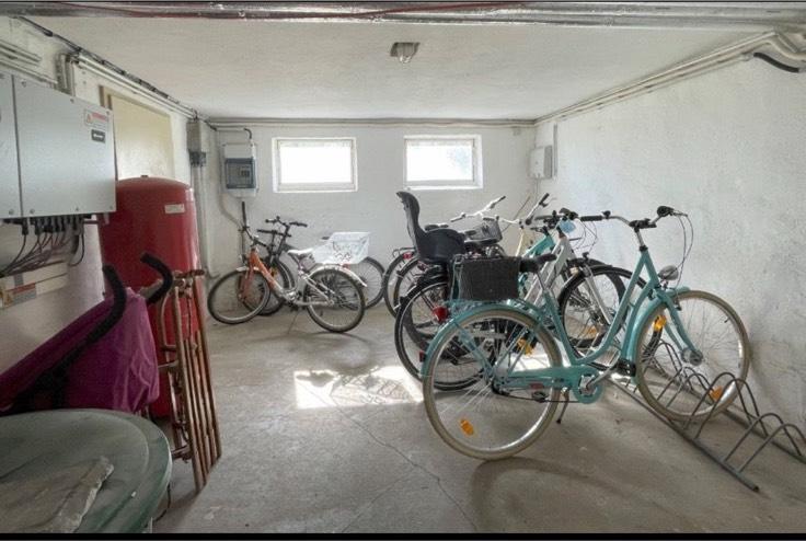 2 Raum Wohnung Trennungsgeldwohnung Dettmannsdorf 1 zimmer