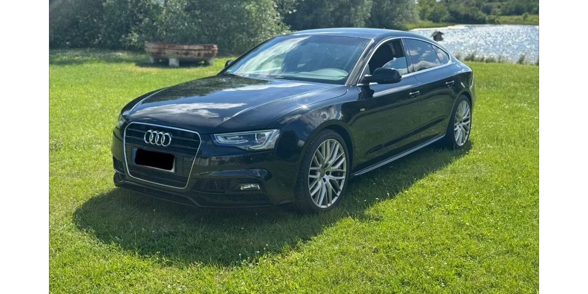 Audi A5 185.241 km 14.399 &euro; Sülzetal OT Sülldorf 39171