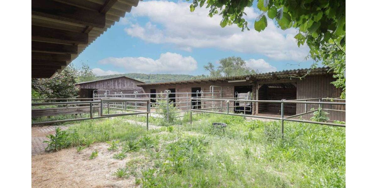 Mehrfamilienhaus, Wohnhaus Büdingen Calbach - 9 Zimmer, 495.000&euro; | Angebot:26189544