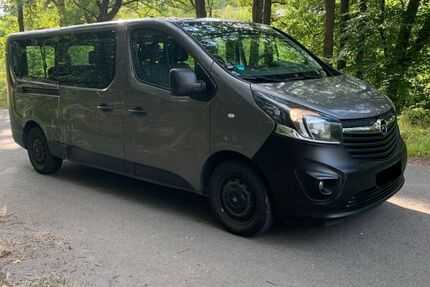Opel Vivaro 166.000 km 9.950 &euro; Lüneburg 21335