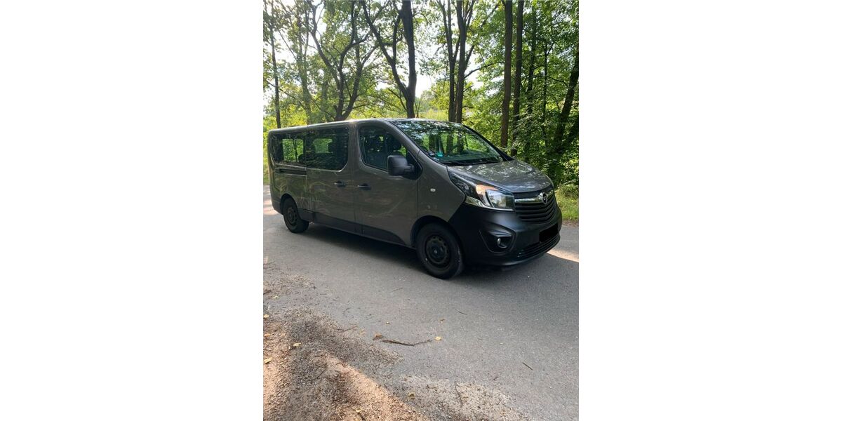 Opel Vivaro 166.000 km 9.950 &euro; Lüneburg 21335