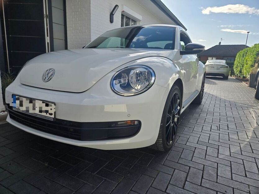 Beetle