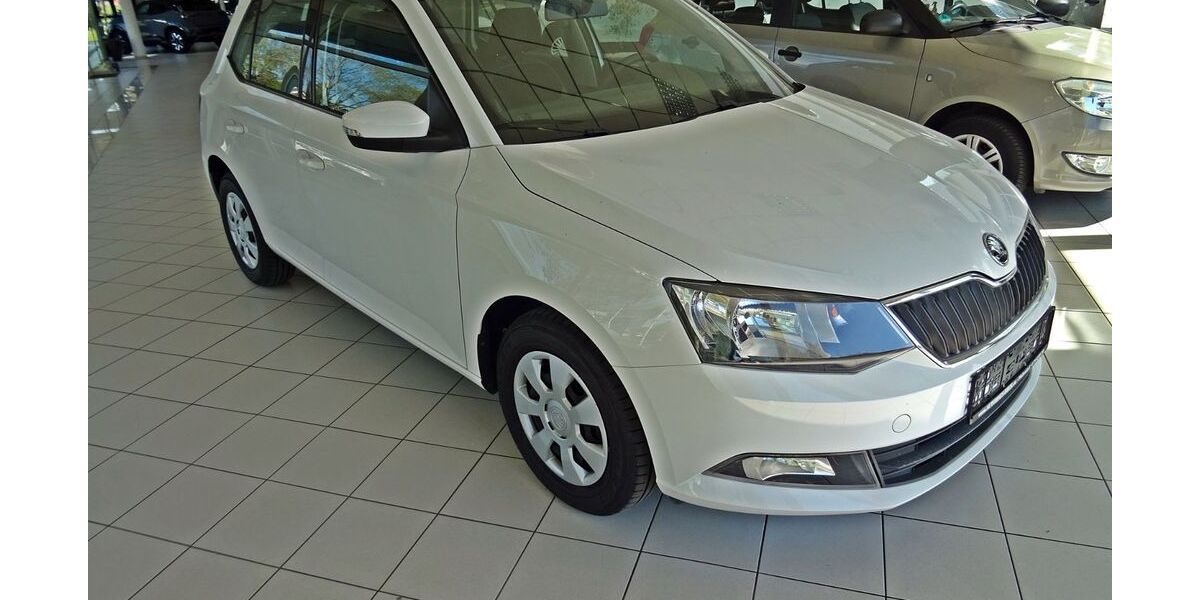 Skoda Fabia 107.600 km 9.300 &euro; Pfullendorf 88630