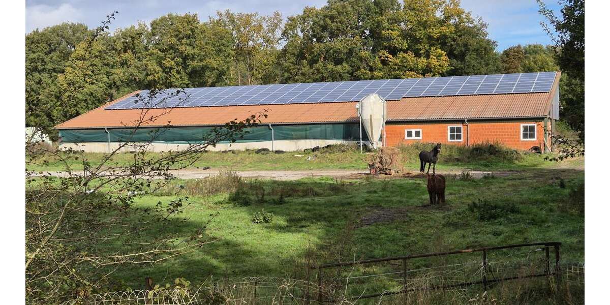 Gewerbeobjekt Burg (Dithmarschen) - 199.000&euro; | Angebot:23184149