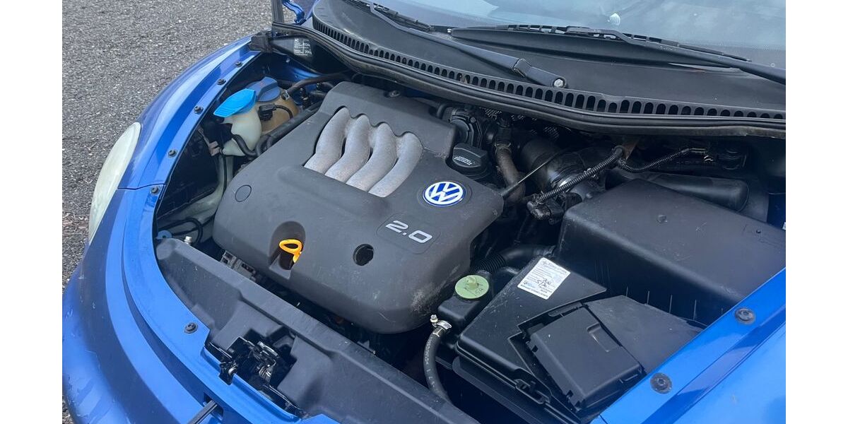 VW Beetle 233.000 km 1.500 &euro; Schwarzatal/ Oberweißbach 98744