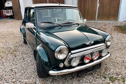 Rover Andere