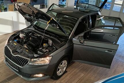 Skoda Fabia 122.268 km 9.798 &euro; Blankenburg/Harz 38889