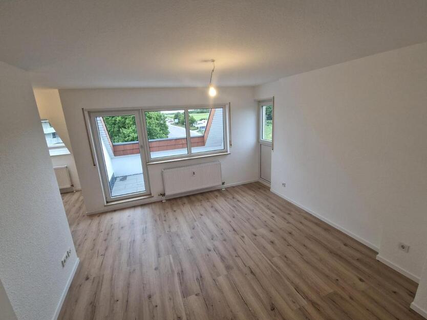 Renovierte 2 Zimmer Wohnung 62 m² Worms Herrnsheim + Dachterrasse