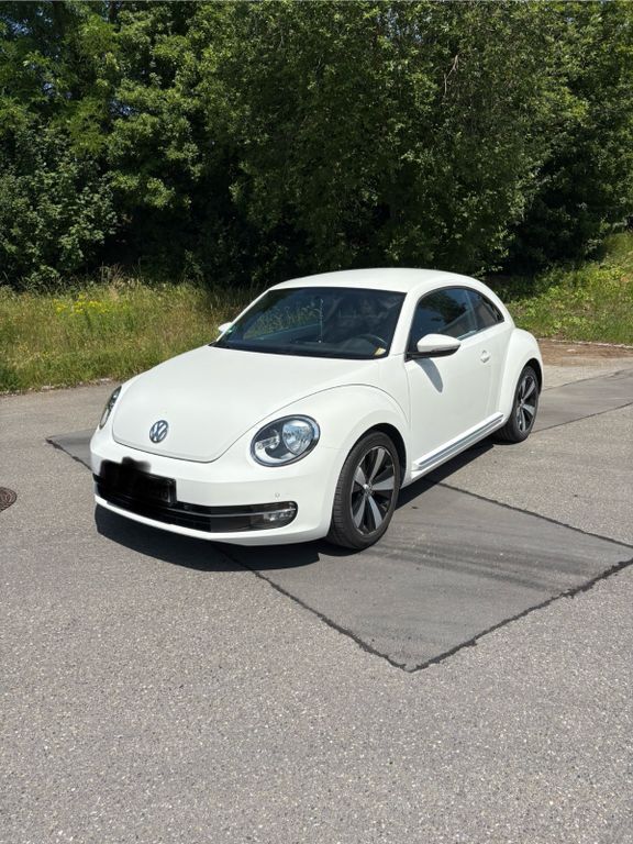 Beetle