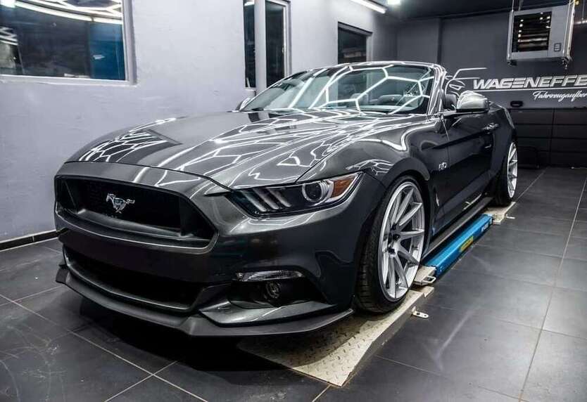 Mustang