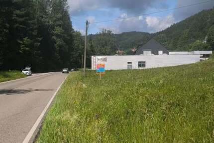 Grundstück Alpirsbach - 250.000&euro; | Angebot:26499491