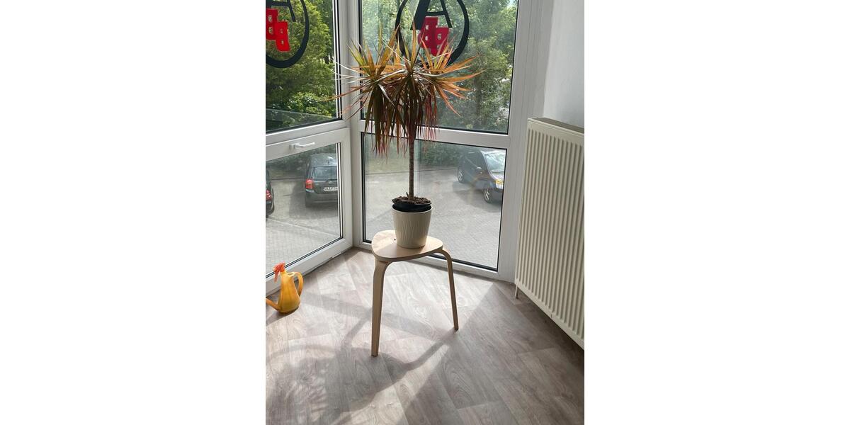 Gewerbeobjekt Osterburg (Altmark) - 785&euro; | Angebot:20753140