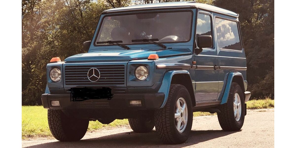 Mercedes-Benz G 300 299.000 km 38.900 &euro; Goldbach 63773