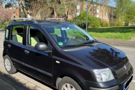 Fiat Panda 101.000 km 2.799 € Kempen 47906