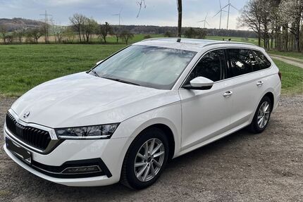 Skoda Octavia 134.000 km 18.700 &euro; Ottrau 34633