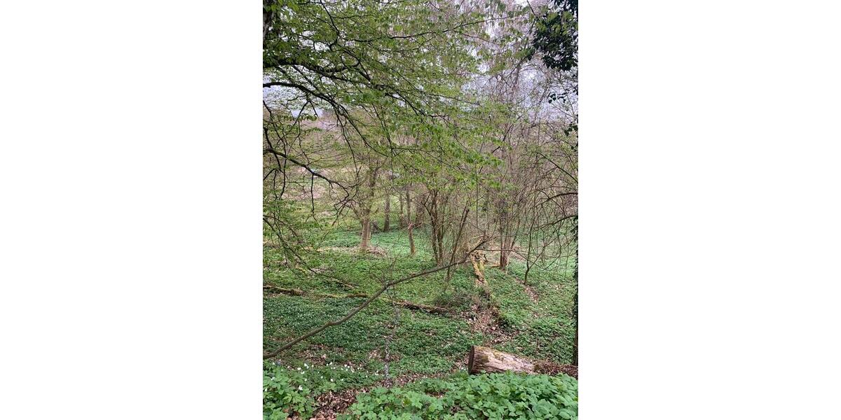 Grundstück Runkel - 30.000&euro; | Angebot:26133688