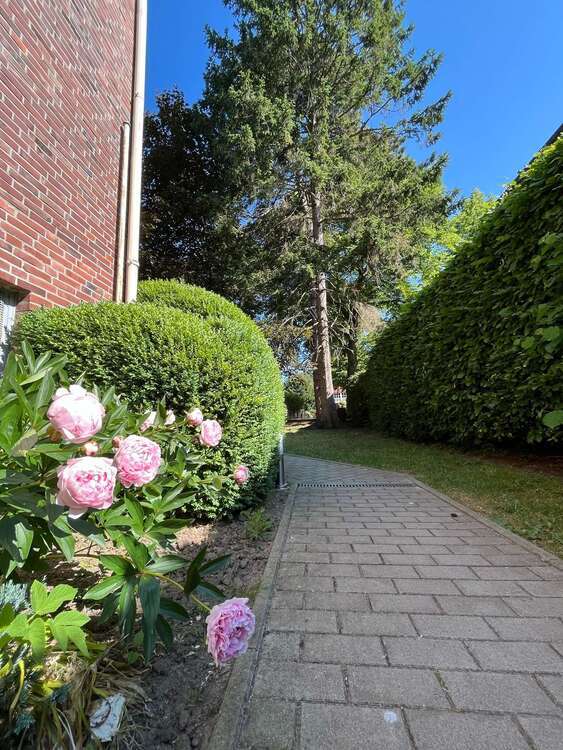 Wohnung zum Mieten in Kiel 350 € 25 m²