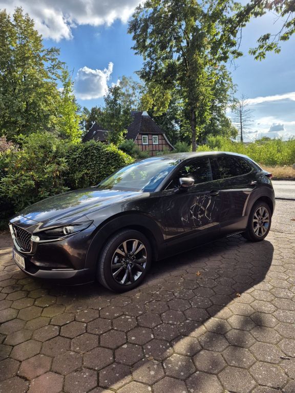 CX-30