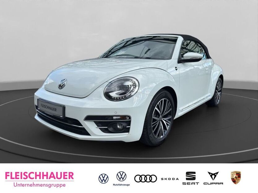 Beetle