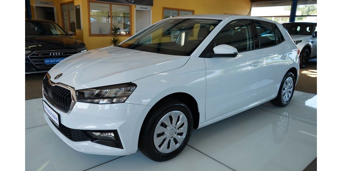 Skoda Fabia 21.000 km 19.880 &euro; Bad Doberan 18209
