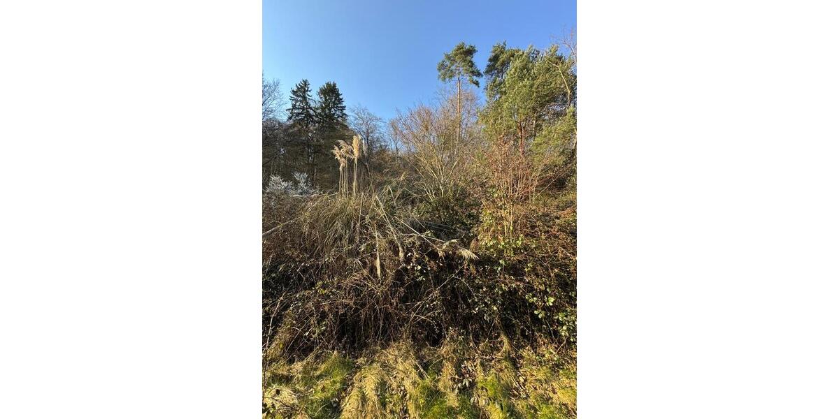 Einfamilienhaus Beckingen - 6 Zimmer, 135 m&sup2;, 148.500&euro; | Angebot:26342359