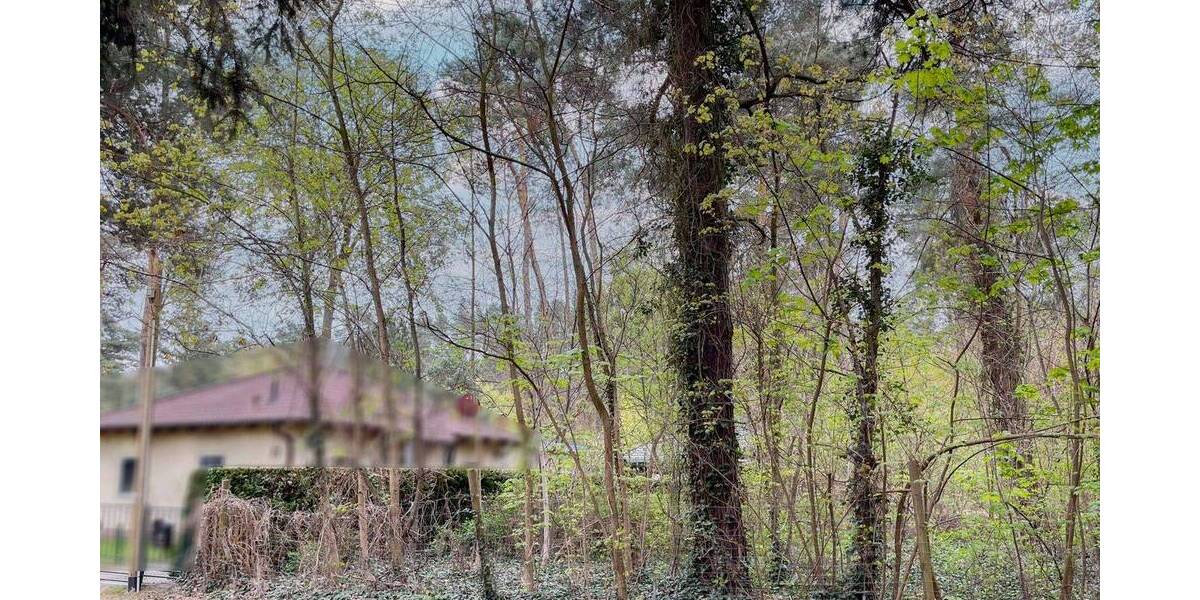 Grundstück Königs Wusterhausen Senzig - 850.000&euro; | Angebot:26391152