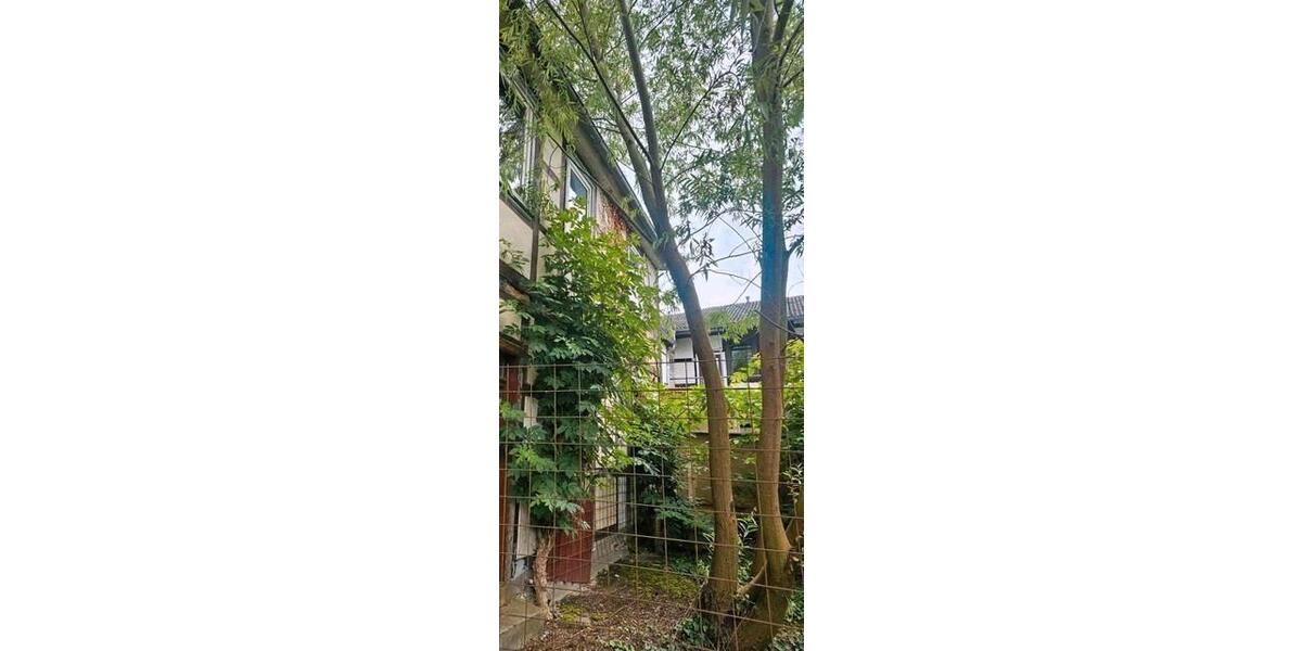 Mehrfamilienhaus, Wohnhaus Lüchow (Wendland) - 20.000&euro; | Angebot:26350251