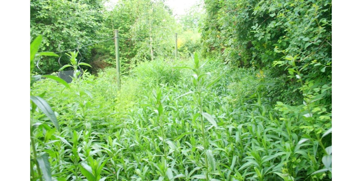EFH - Oberkaina als Investition mit 8 % Rendite - Einfamilienhaus Bautzen Oberkaina | Angebot:24582596