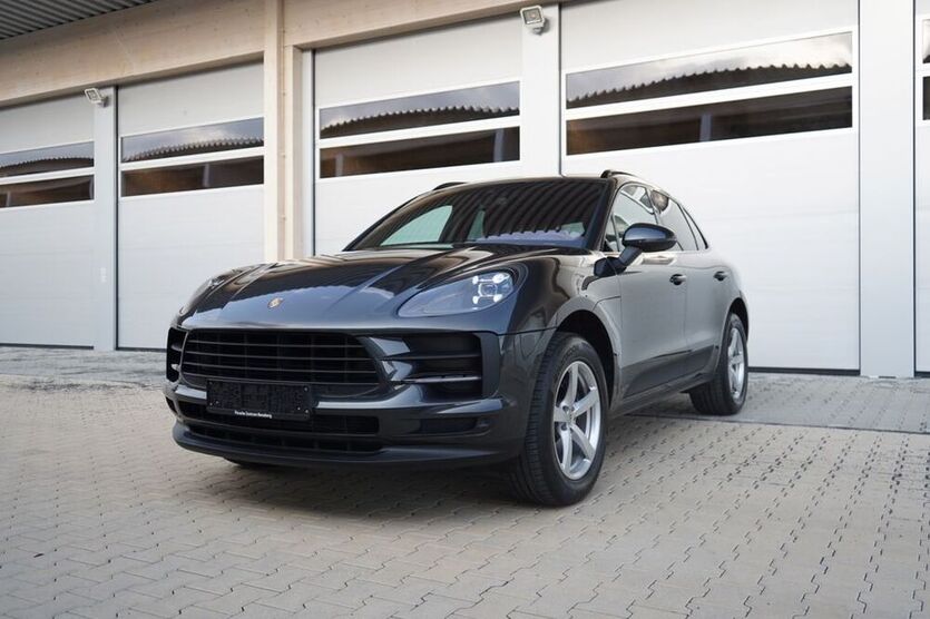 Macan