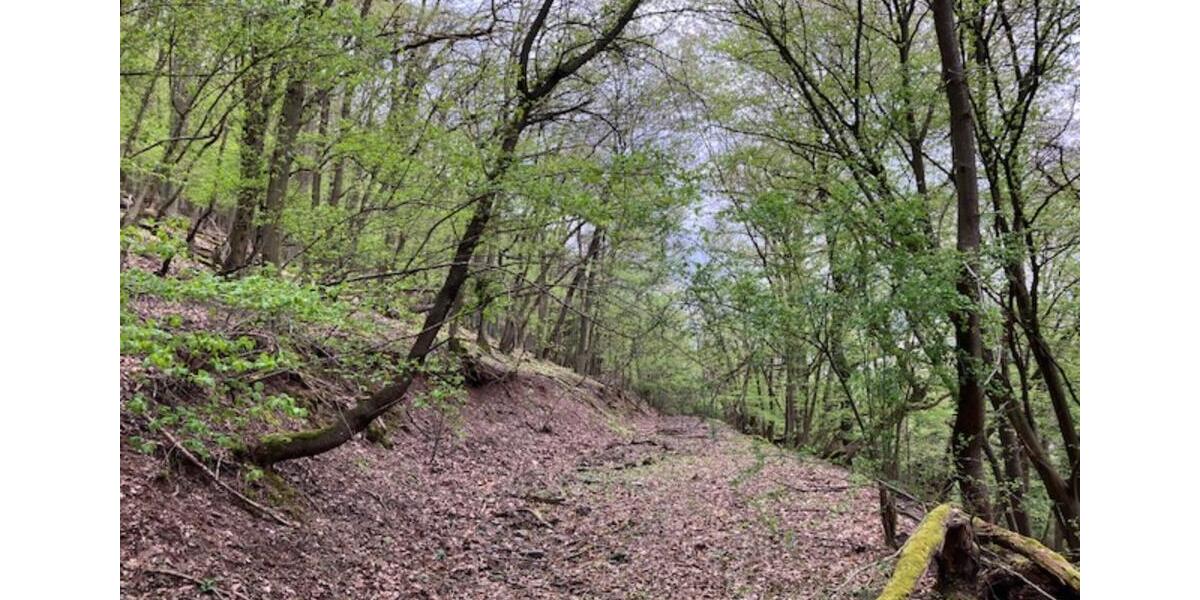 Grundstück Bruttig-Fankel Fankel - 5.950&euro; | Angebot:17639442