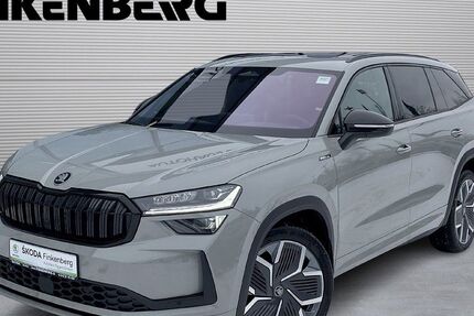 Skoda Kodiaq 1.200 km 47.980 &euro; Verden 27283