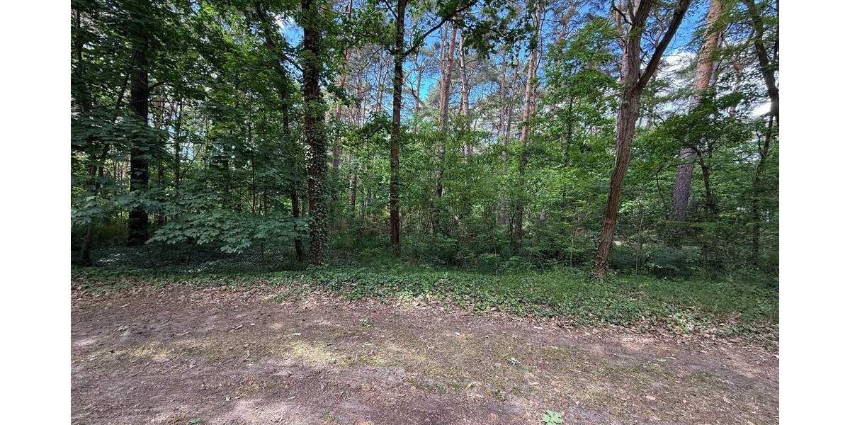 Einfamilienhaus Bad Saarow Bad Saarow-Pieskow - 65.000&euro; | Angebot:24884972