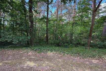 Haus Bad Saarow Bad Saarow-Pieskow - 65.000&euro; | Angebot:24884972