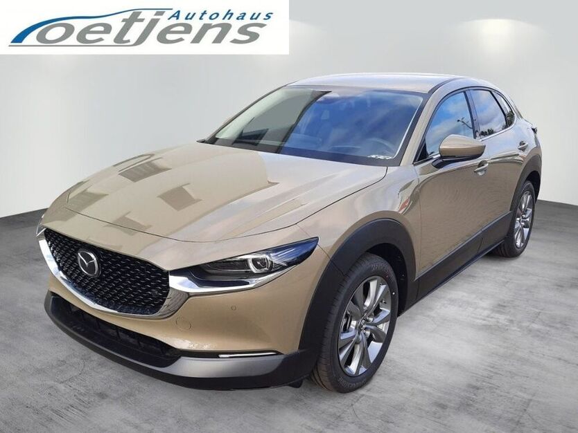 CX-30